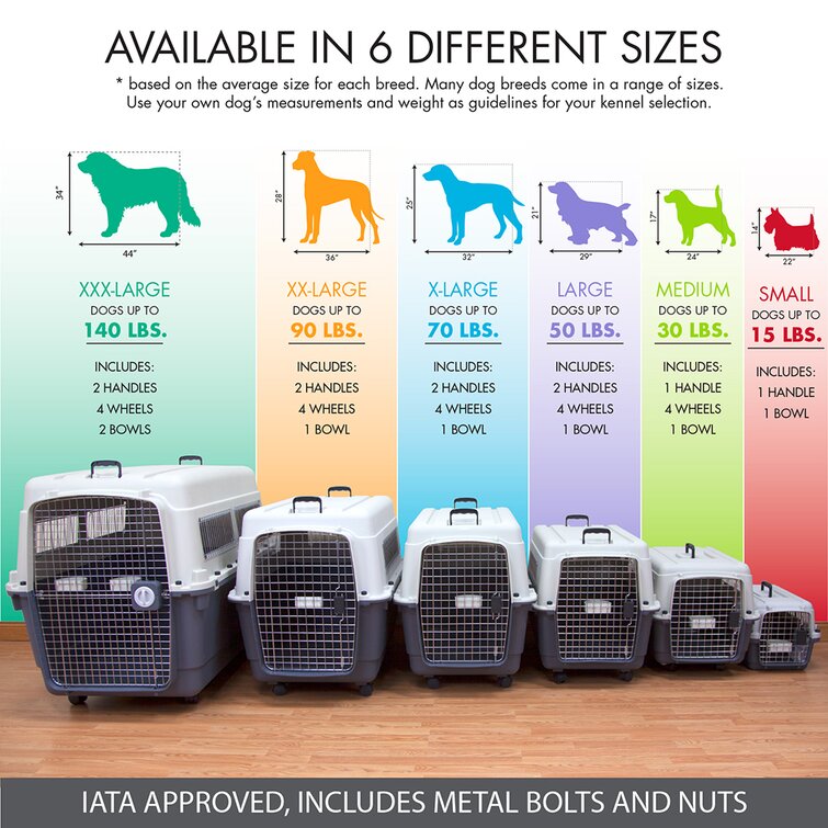 Dog sale carrier sizes